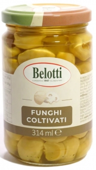 BELOTTI GR.314 FUNGHI CHAMPIGNON